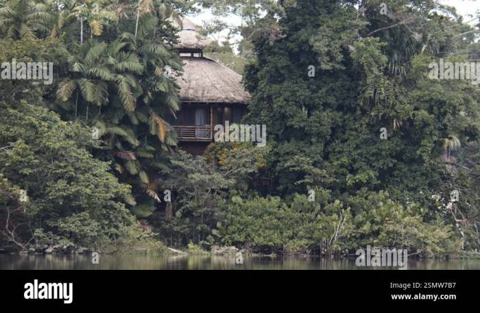 Luxury Amazon Rainforest Lodge: Your Private Retreat in the Heart of ...