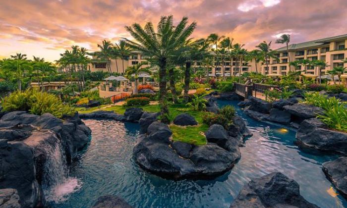 Beach Resort In Hawaii With Oceanfront Rooms